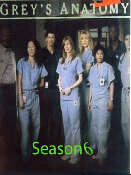Grey's Anatomy - The Complete Season Six